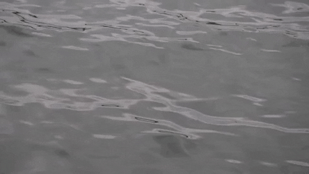 Gray Color Moving Water GIF