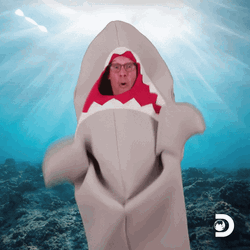 Gray Dancing Shark Mascot GIF