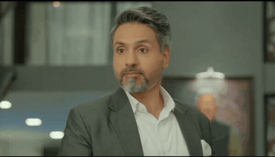 Gray Haired Man With Beard In Suit GIF