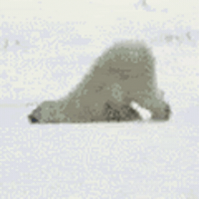 Gray Object Floating In Air GIF