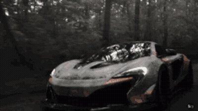 Gray Sports Car Driving Through Woods GIF