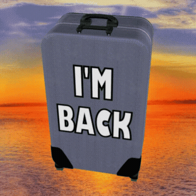 Gray Suitcase Saying I'm Back On It