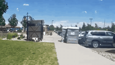Gray SUV Parked Next To Gray Portable Toilet GIF