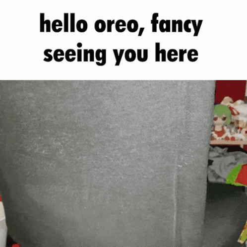 Gray Wall With Hello Oreo GIF