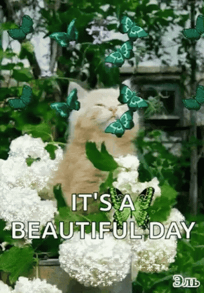 Great Day To Be Alive Poster With Flowers GIF