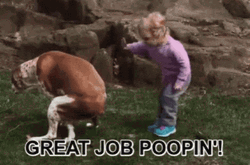 Great Job Dog Pooping
