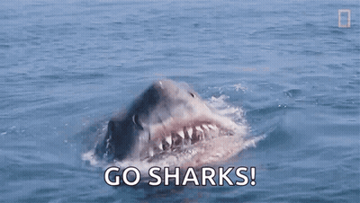 Great White Shark Swimming With Go Sharks GIF