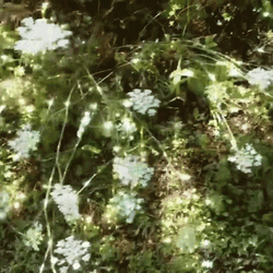 Green Aesthetic Cute Flowers Sparkle