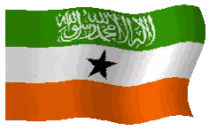 Green And Orange Flag With Arabic Writing And Black Star Sticker
