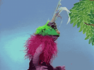 Green And Pink Feathered Puppet GIF