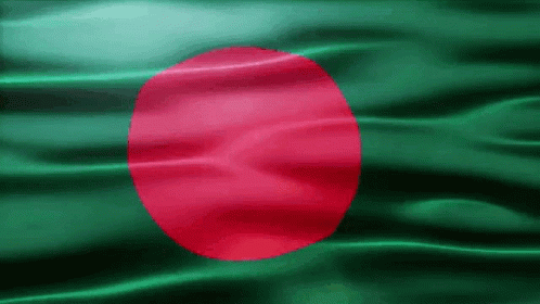 Green And Red Flag With Red Circle GIF