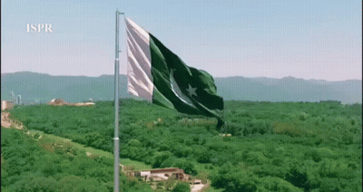 Green And White Flag Flying Over Green Forest GIF