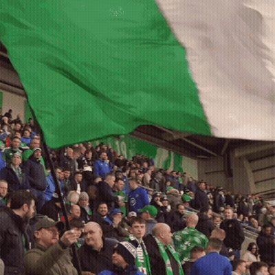 Green And White Flag Waved In Crowd GIF