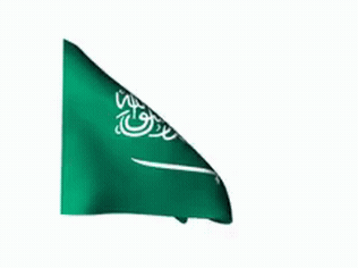 Green And White Flag With Arabic Writing Waving GIF