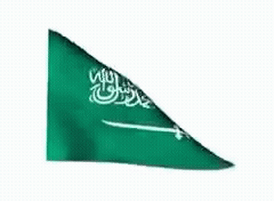 Green And White Flag With Arabic Writing Waving GIF