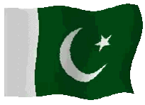 Green And White Flag With Crescent Moon And Star Sticker