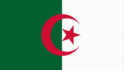 Green And White Flag With Red Crescent And Star GIF
