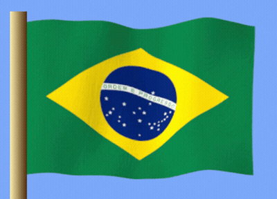 Green And Yellow Ordem & Progress Flag GIF