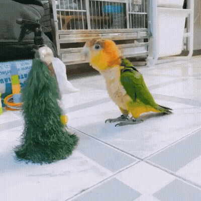 Green And Yellow Parrot Next To Christmas Tree GIF