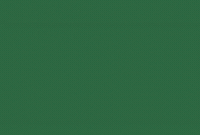 Green Background Saying Capitalism Makes GIF