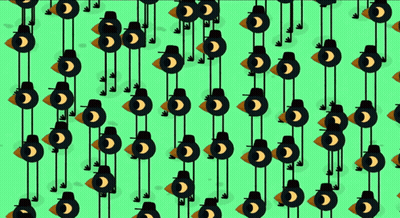 Green Background With Black Birds And Crescent Moons GIF