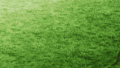 Green Background With Leaves GIF