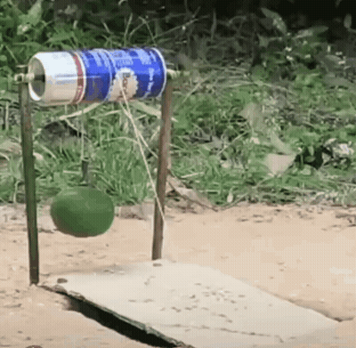 Green Ball Hanging From Can On Wooden Board GIF