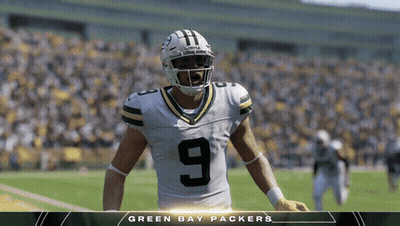 Green Bay Packers Football Player GIF