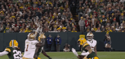 Green Bay Packers Player Catching Pass In Front Of Crowd GIF