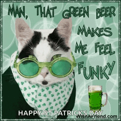 Green Beer Funny Cats GIF