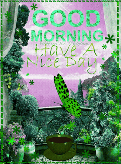 Green Butterfly And Coffee Saying Good Morning Have A Nice Day GIF