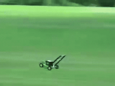 Green Butterfly Flying Over Green Field GIF