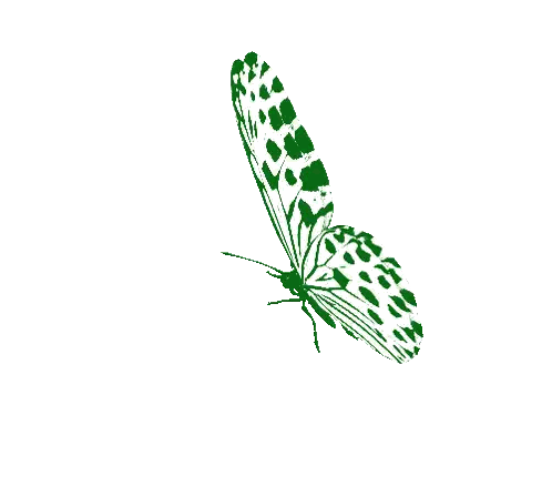 Green Butterfly With White Spots Sticker