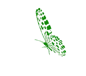 Green Butterfly With White Spots Sticker