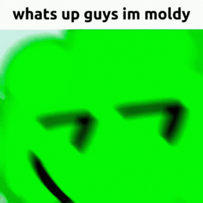 Green Cartoon Smiling Saying Whats Up Guys Im Moldy GIF
