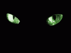 Green Cat Eyes Glitter