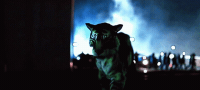 Green Cat Standing In Front Of Crowd In The Dark GIF