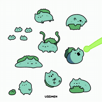 Green Cats Usgmen GIF