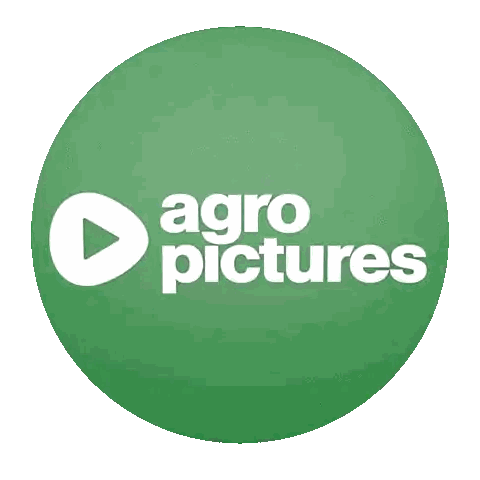 Green Circle With Salto Arrow Sticker