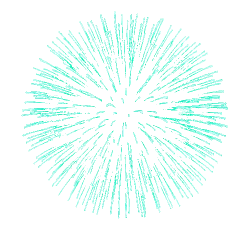 Green Fireworks Circle Sticker