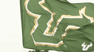 Green Flag With Bull Flying In Wind GIF