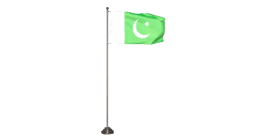 Green Flag With Crescent Moon And Star Sticker