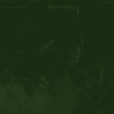 Green Flag With Dito Tayo GIF