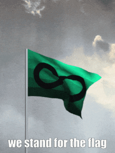 Green Flag With Infinity Symbol And We Stand For The Flag GIF