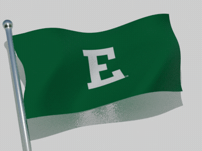 Green Flag With Letter E Waving GIF