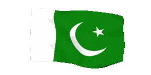 Green Flag With White Star And Crescent Sticker