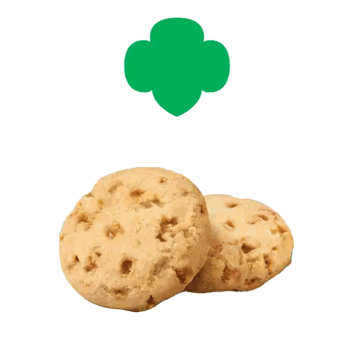 Green Four Leaf Clover Above Cookies Sticker