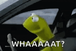Green Frog Driving Whaaaat GIF