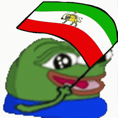 Green Frog Holding Red White Green Flag GIF