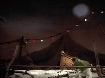 Green Frog In Front Of Mountain With String Lights GIF